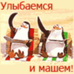 ale81012803